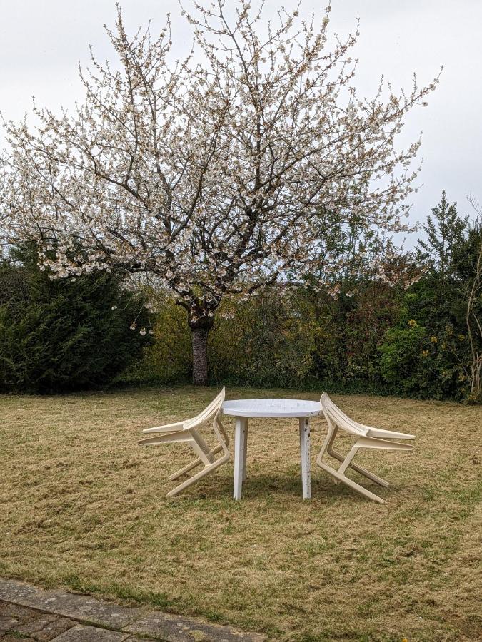 Au Petit Chalet D'Illiers Combray - Salle D'Eau Uniquement Εξωτερικό φωτογραφία